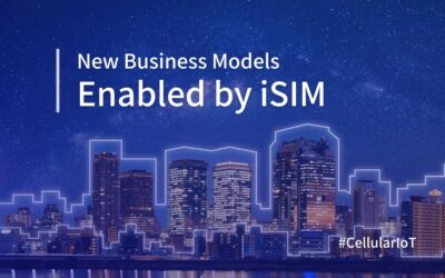 New Business Models Enabled by iSIM