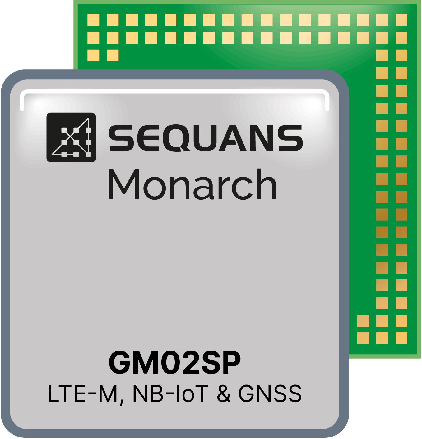 GM02SP Module